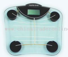 Body Fat/Water Analysis Scale