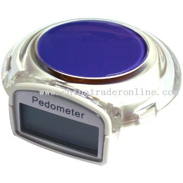 Calorie pedometer