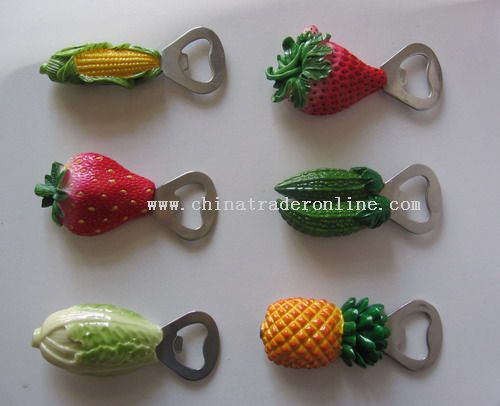 Resin Fridge Magnet with Bottle Opener from China