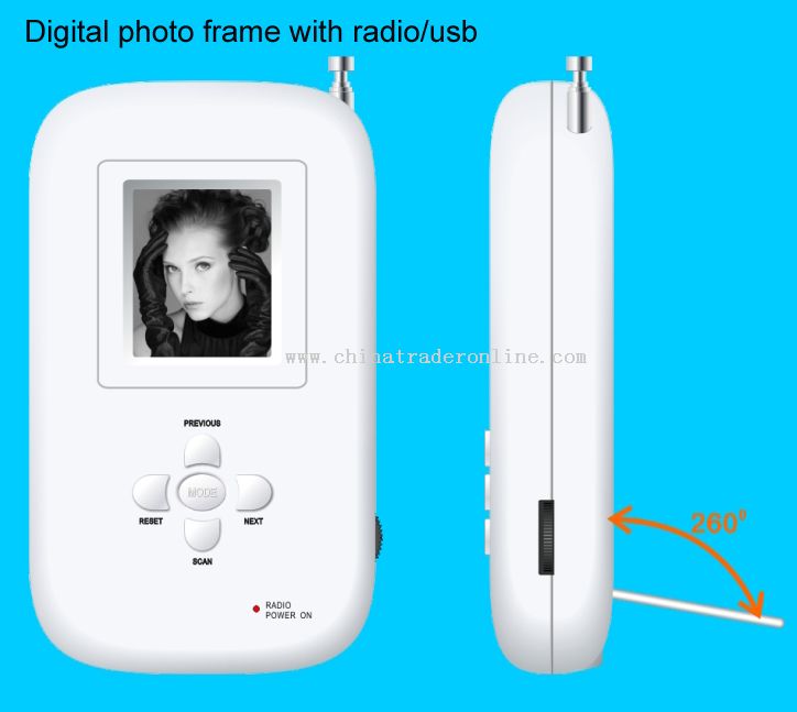 Novelty Digital photo frame with radio