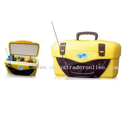 cooler bag with radio