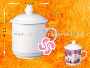 Bone china coating mug from China