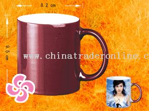 Color changing mug from China