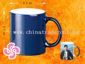 Common coating mug