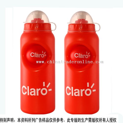 Sport Bottles