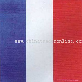 France Flag Bandanas from China