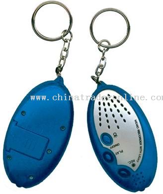 Voice Recorder Key chain with Money Detector from China