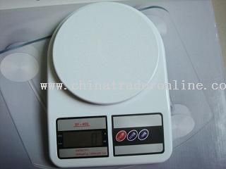 Kitchen Scale from China