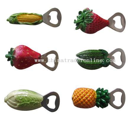 Resin Fridge Magnet With Bottle Opener from China