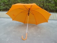 Promotion umbrella