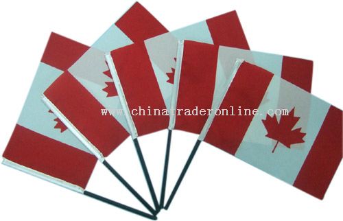 Hand flag from China