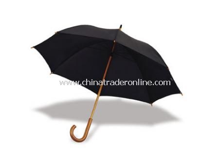 Ozon Umbrella from China