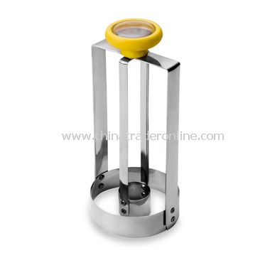 Pineapple Corer from China