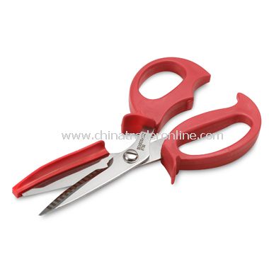 Sea Scissors from China