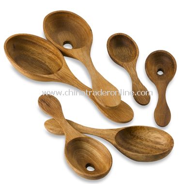 Tapas Spoon Set of 2