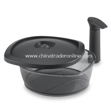 Innovations Instant Marinater from China