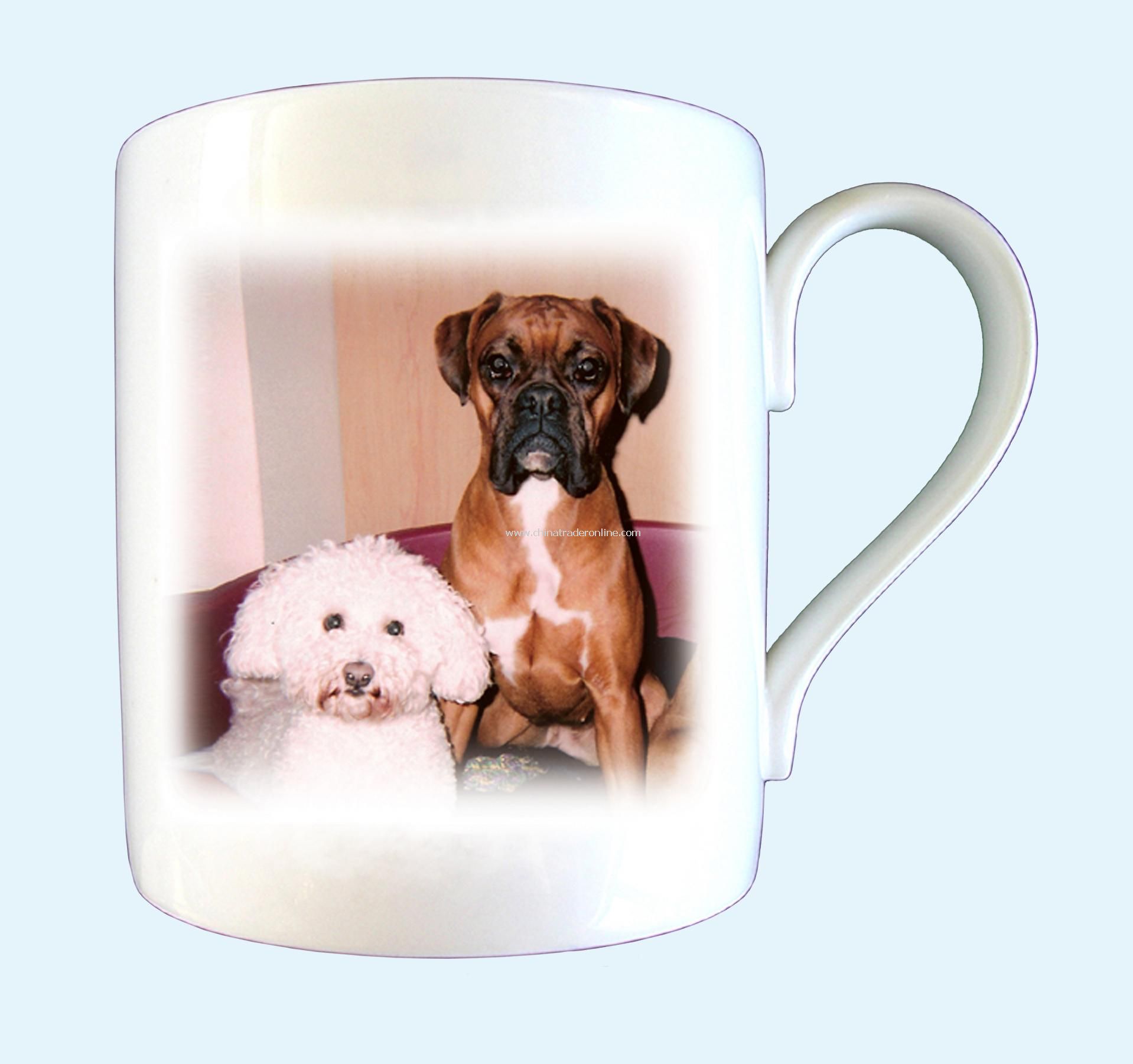 Pet Photo Mug from China