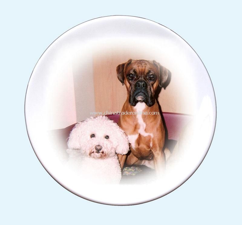 Pet Photo Plate