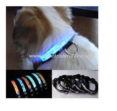 Flash Pet Collar from China