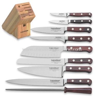 Silver Forged 10-Piece Knife Block Set from China