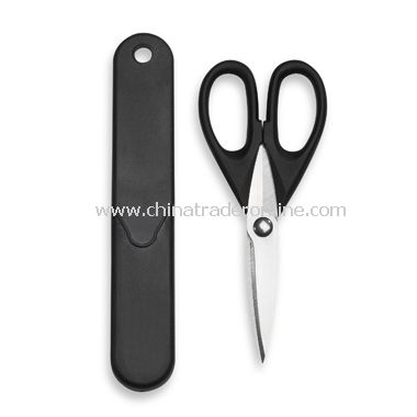 Shears in Magnetic Sheath