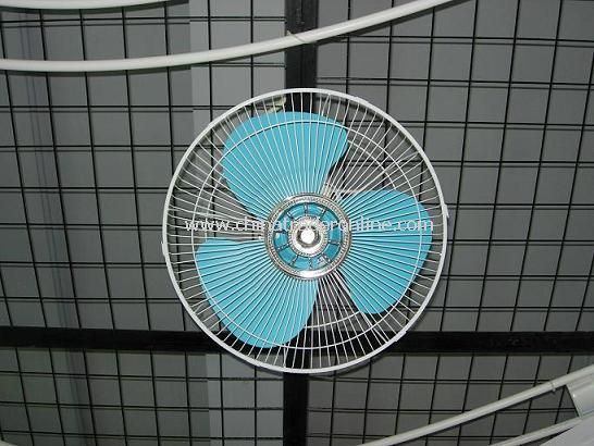 Orbit Wall Fan