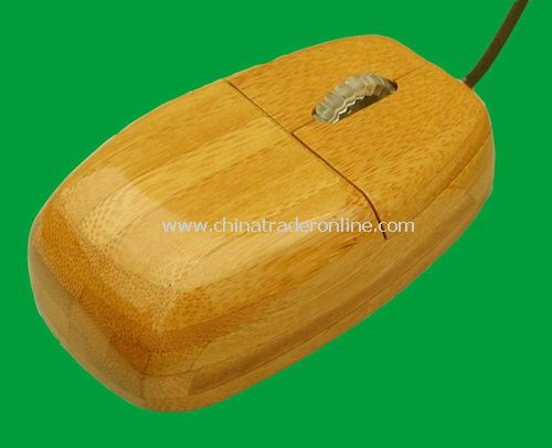 Bamboo Mouse from China