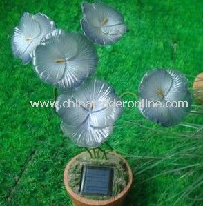 Solar Flower Light, Solar Decorative Light, Solar Art Light, Solar Sculpture Light from China