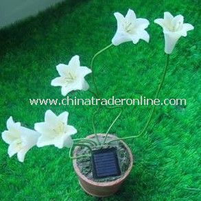 Solar Flower Light, Solar Decorative Light, Solar Art Light, Solar Sculpture Light from China