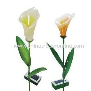 Solar Flower Light, Solar Decorative Light, Solar Art Light, Solar Sculpture Light from China