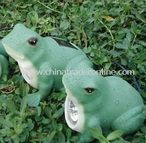 Solar Frog Light from China