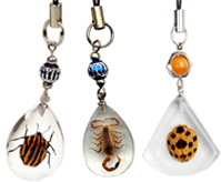 Real Insect Acrylic Mobile Phone Chain