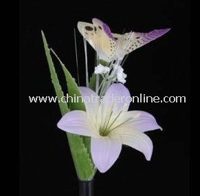 Solar Insect Light, Solar Butterfly Light, Solar Dragonfly Light, Solar Animal Light, Solar Resin from China