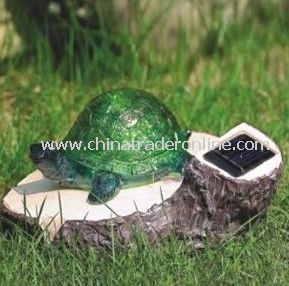 Solar Tortoise Light, Solar Animal Light, Solar Resin Light, Solar Sculpture Light from China