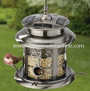 Solar Bird feeder