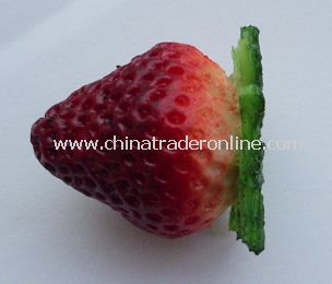 strawberry usb flash drive from China