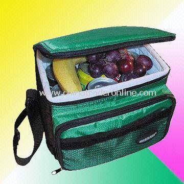 Exquisite Cooler Bag Made of 420D Nylon or Neoprene from China