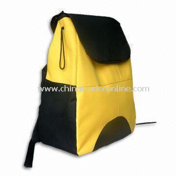 Big Storage Cooler Bag with Double Shoulder Strap from China
