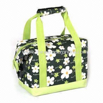 Cooler Bag, Available in Different Styles, Materials and Designs from China