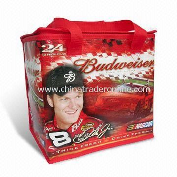 Promotional Cooler/Ice Bag from China