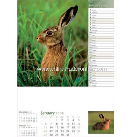 Wildlife in Britain Calendar from China