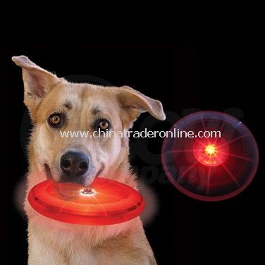 Dog Frisbee