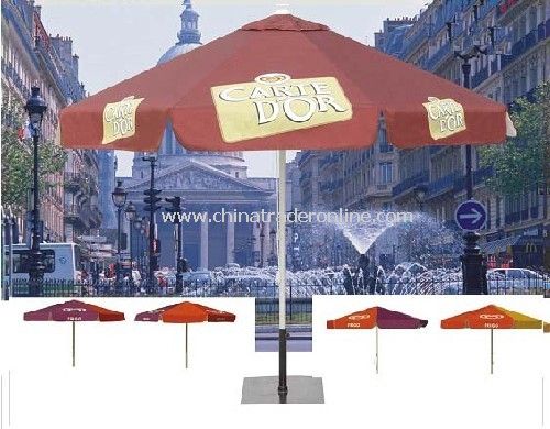 Square Parasol from China