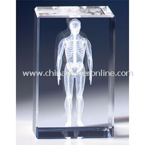 Image 3 Crystal(TM) Human Anatomy from China