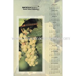 Vineyards Mini Poster