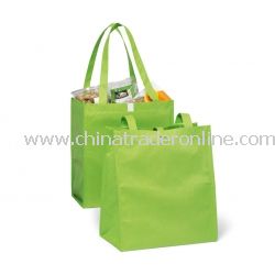 Eco Polypropylene Bag Grocery Set