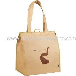 PolyPro Insulated Non Woven Bag from China