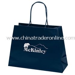 McKinley 12 1/2-inch Eurotote Promotional Bag from China