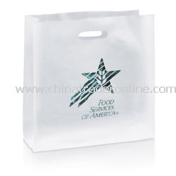 Zodiac 12 1/2-inch Frosted Gift Bag