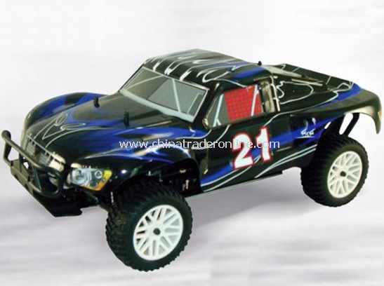 1:10th Nitro Rally Monster-Two Speed